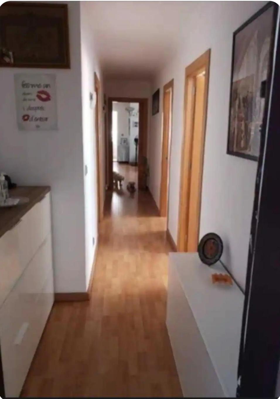Habitacion Maria Jose Бенидорм Екстериор снимка